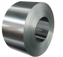 סליל נירוסטה ASTM 317
