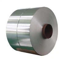 סליל נירוסטה ASTM A240 TP 420