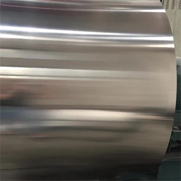 סליל נירוסטה 410S21